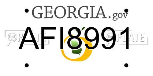 AFI8991 Georgia License Plate