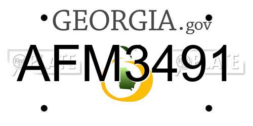 AFM3491 Georgia License Plate