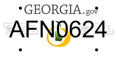 AFN0624 Georgia License Plate