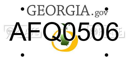 AFQ0506 Georgia License Plate