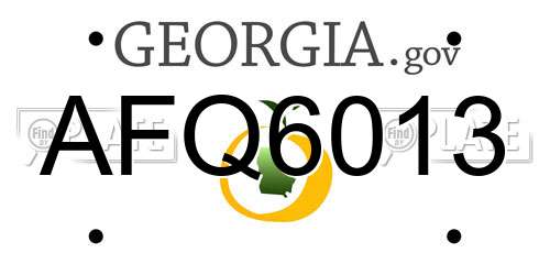 AFQ6013 Georgia License Plate