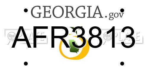 AFR3813 Georgia License Plate