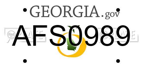 AFS0989 Georgia License Plate