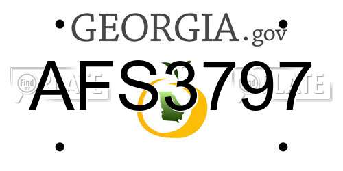 AFS3797 Georgia License Plate