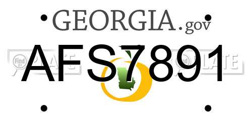 AFS7891 Georgia License Plate