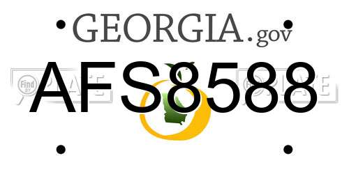 AFS8588 Georgia License Plate