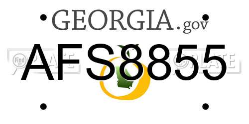 AFS8855 Georgia License Plate