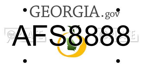 AFS8888 Georgia License Plate