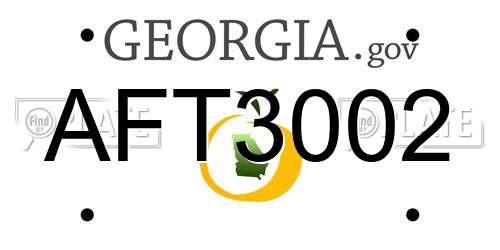 AFT3002 Georgia License Plate