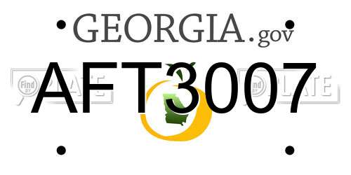 AFT3007 Georgia License Plate