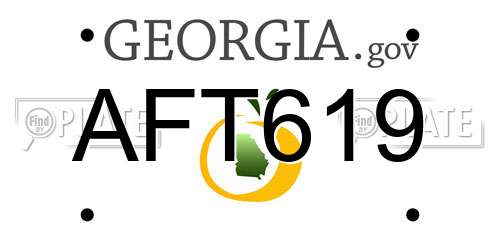 AFT619 Georgia License Plate