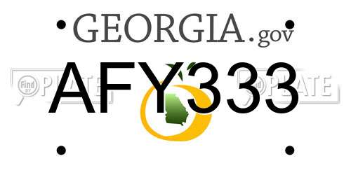 AFY333 Georgia License Plate