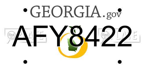 AFY8422 Georgia License Plate