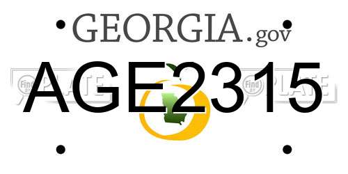 AGE2315 Georgia License Plate