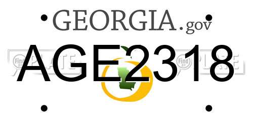 AGE2318 Georgia License Plate
