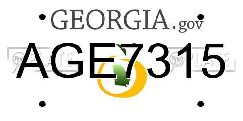AGE7315 Georgia License Plate