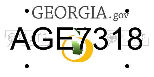 AGE7318 Georgia License Plate
