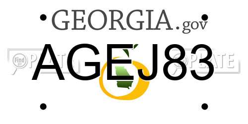 AGEJ83 Georgia License Plate