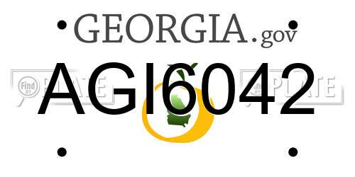 AGI6042 Georgia License Plate