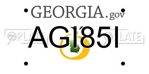 AGI85I Georgia License Plate