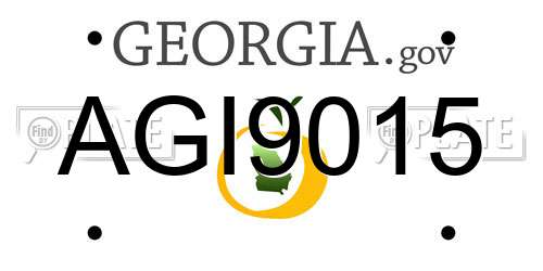 AGI9015 Georgia License Plate
