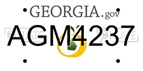 AGM4237 Georgia License Plate