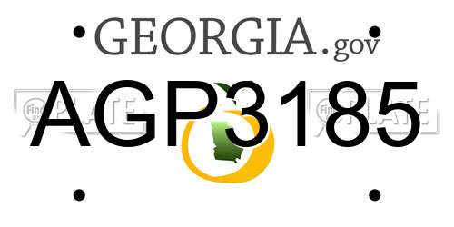 AGP3185 Georgia License Plate