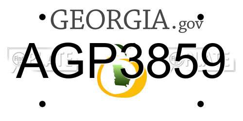 AGP3859 Georgia License Plate