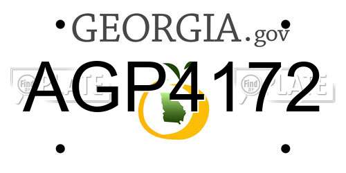 AGP4172 Georgia License Plate