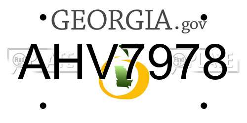 AHV7978 Georgia License Plate