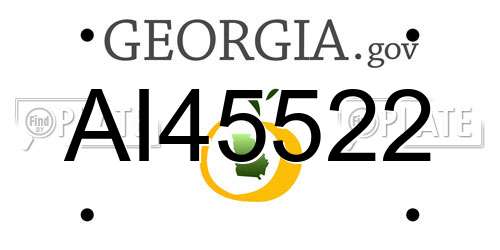 AI45522 Georgia License Plate