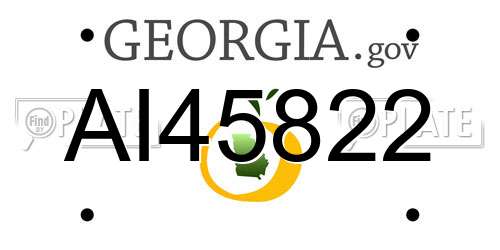 AI45822 Georgia License Plate