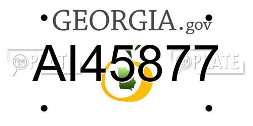 AI45877 Georgia License Plate