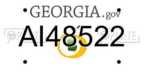 AI48522 Georgia License Plate