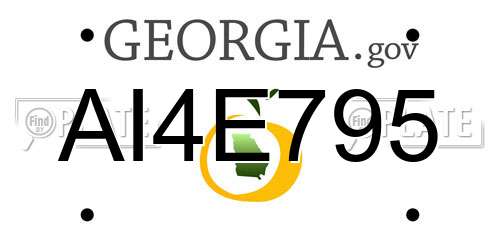 AI4E795 Georgia License Plate