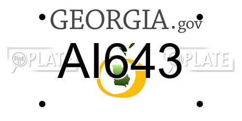 AI643 Georgia License Plate
