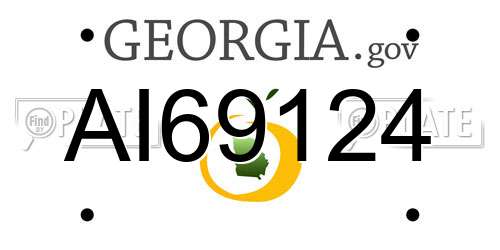 AI69124 Georgia License Plate