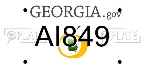 AI849 Georgia License Plate