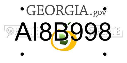 AI8B998 Georgia License Plate