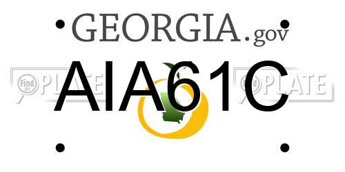 AIA61C Georgia License Plate