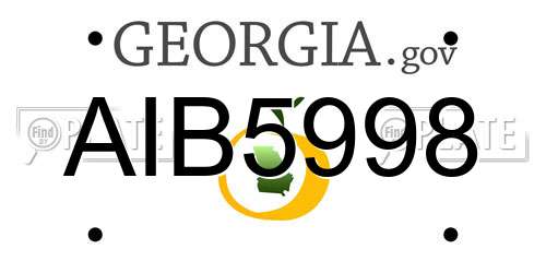 AIB5998 Georgia License Plate