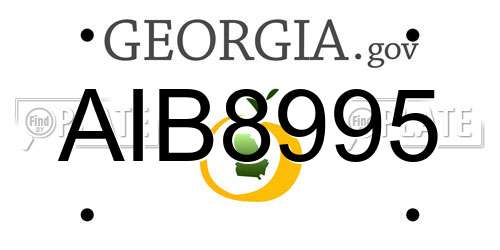 AIB8995 Georgia License Plate