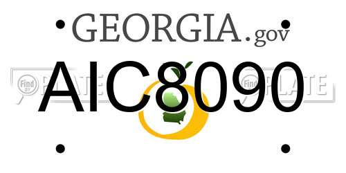 AIC8090 Georgia License Plate