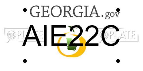 AIE22C Georgia License Plate