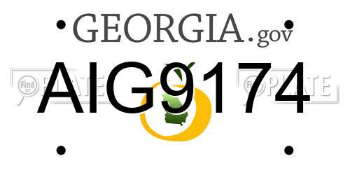 AIG9174 Georgia License Plate