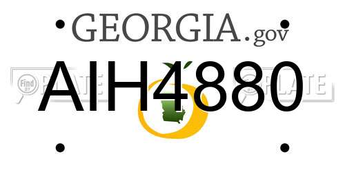 AIH4880 Georgia License Plate