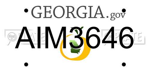 AIM3646 Georgia License Plate