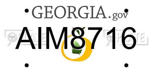 AIM8716 Georgia License Plate