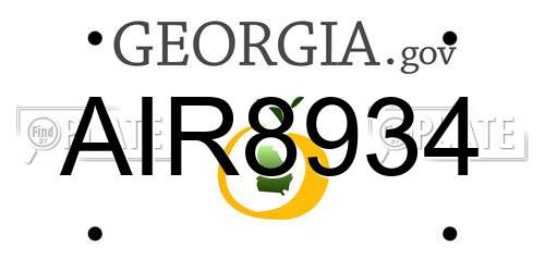 AIR8934 Georgia License Plate