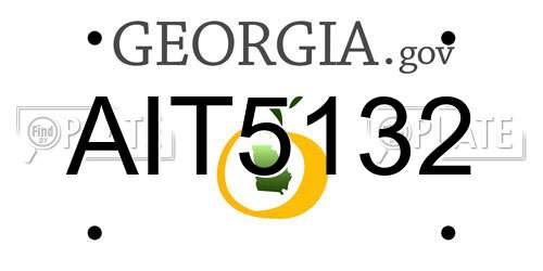 AIT5132 Georgia License Plate